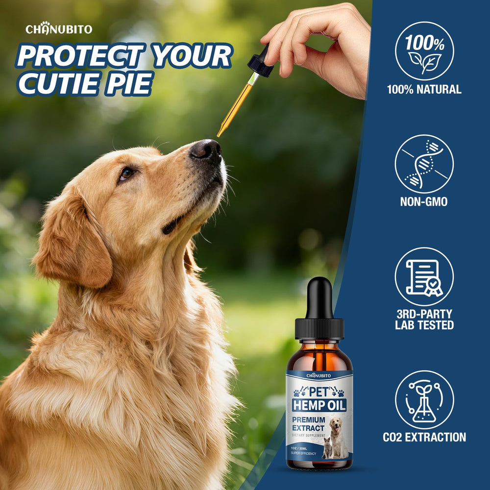 CHANUBITO hemp oil paw topical application for skin support