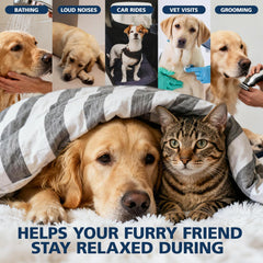 CHANUBITO hemp oil pets dropper dispense for easy direct dosing