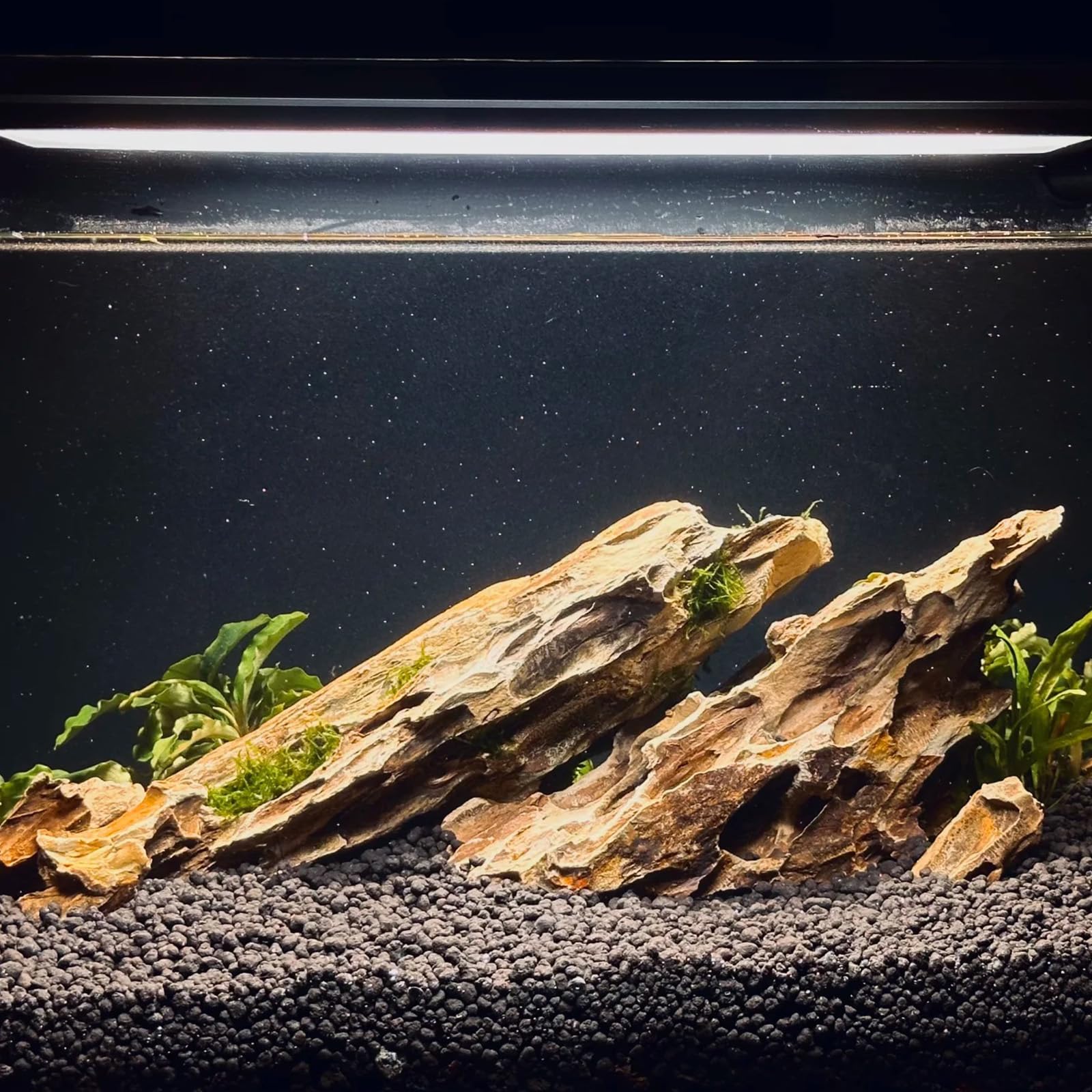 ChaoLeHo Dragon Stone suits aquascapes, stream tanks, terrariums, and decorative gardens.