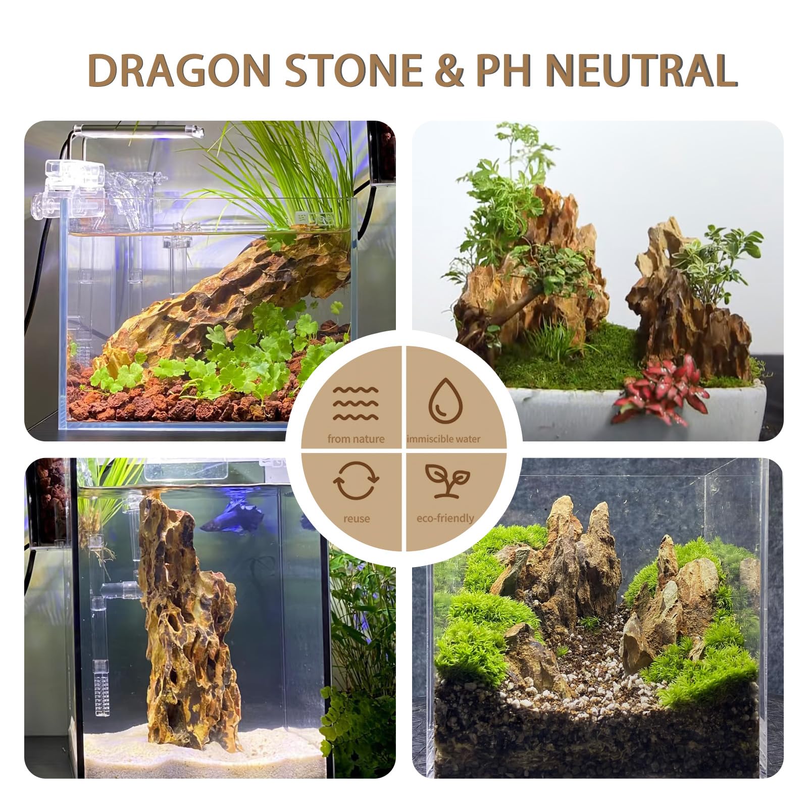 Close-up of porous ChaoLeHo Dragon Stone surface suitable for plant roots and microhabitats.