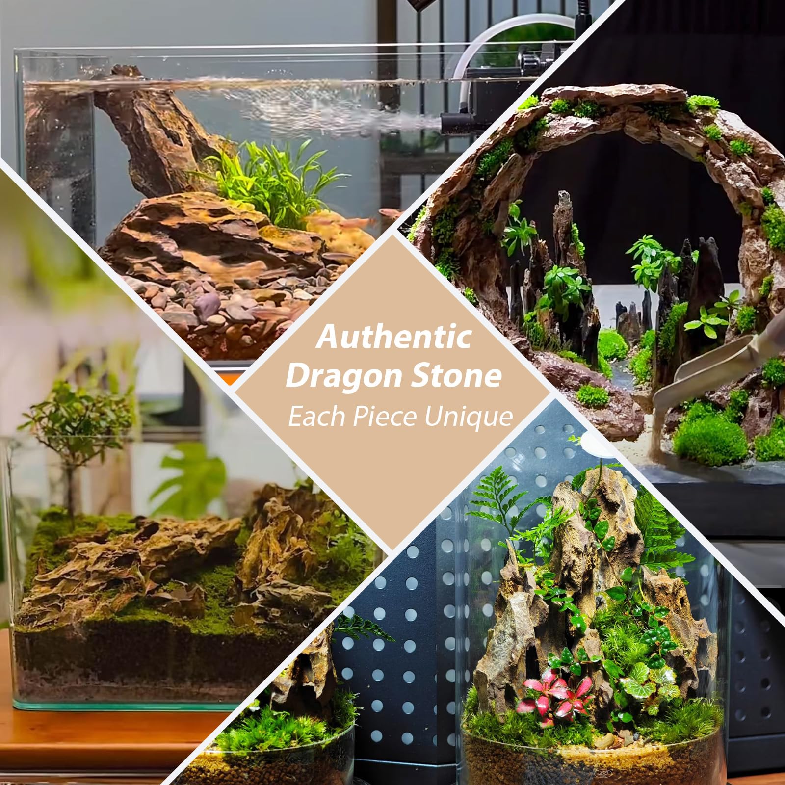 Non-chemical, eco-friendly ChaoLeHo Dragon Stone safe for habitats.