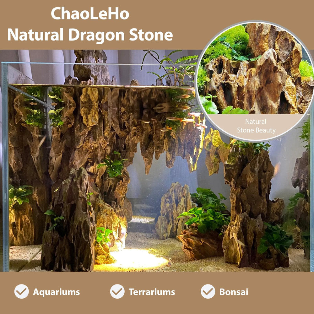 ChaoLeHo Dragon Stone texture and shapes enhance aquarium layouts.