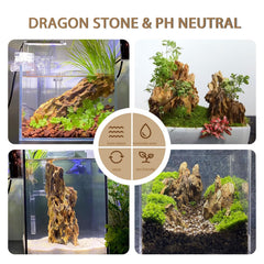 ChaoLeHo Dragon Stone safe, eco-friendly material for aquatic habitats.