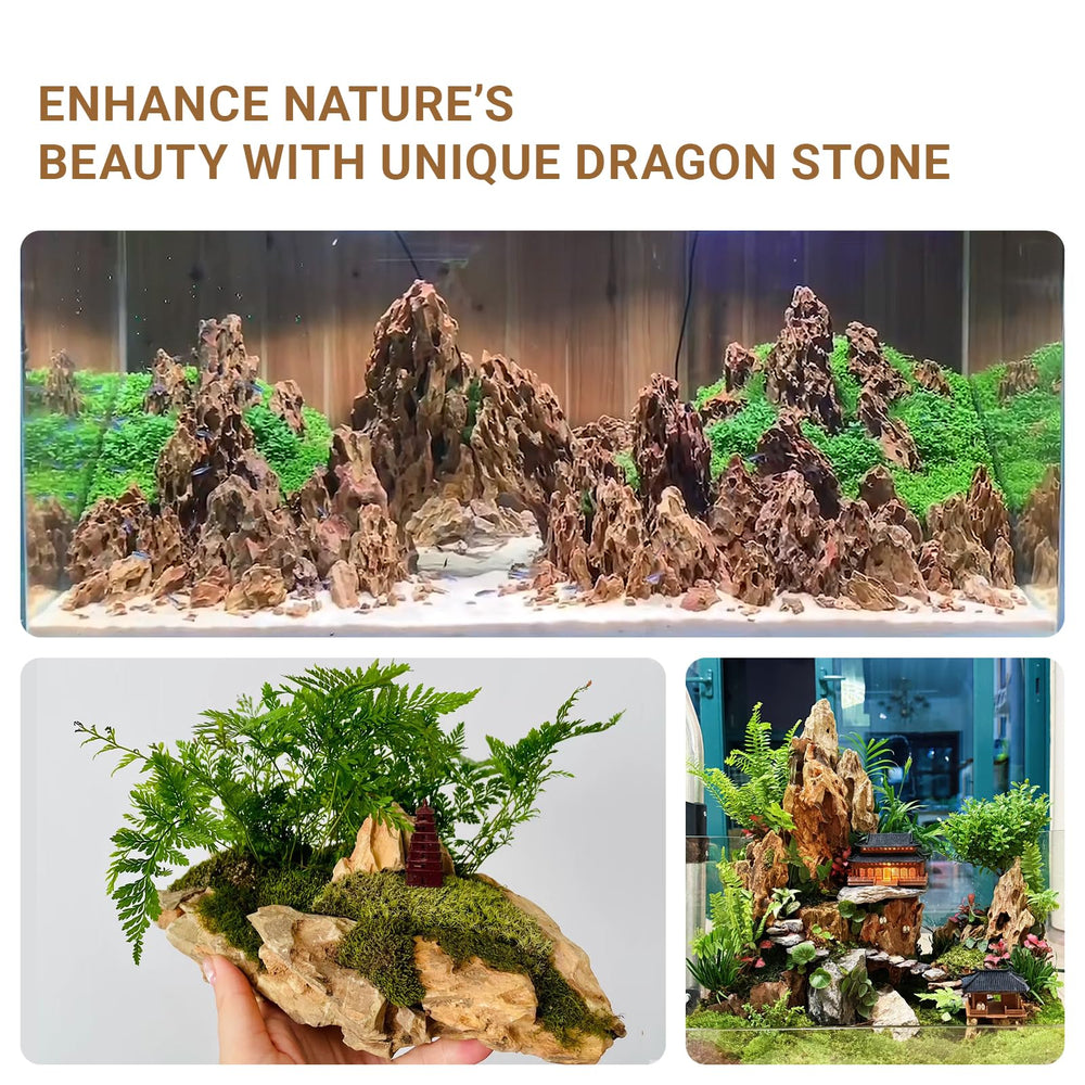 ChaoLeHo Dragon Stone stacks neatly for flexible aquascaping designs.