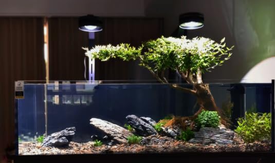 ChaoLeHo Seiryu Stone miniature rock for creative tank setups.