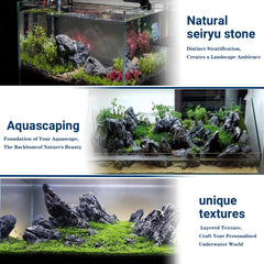 ChaoLeHo Seiryu Stone large piece highlighting natural texture in the aquarium.