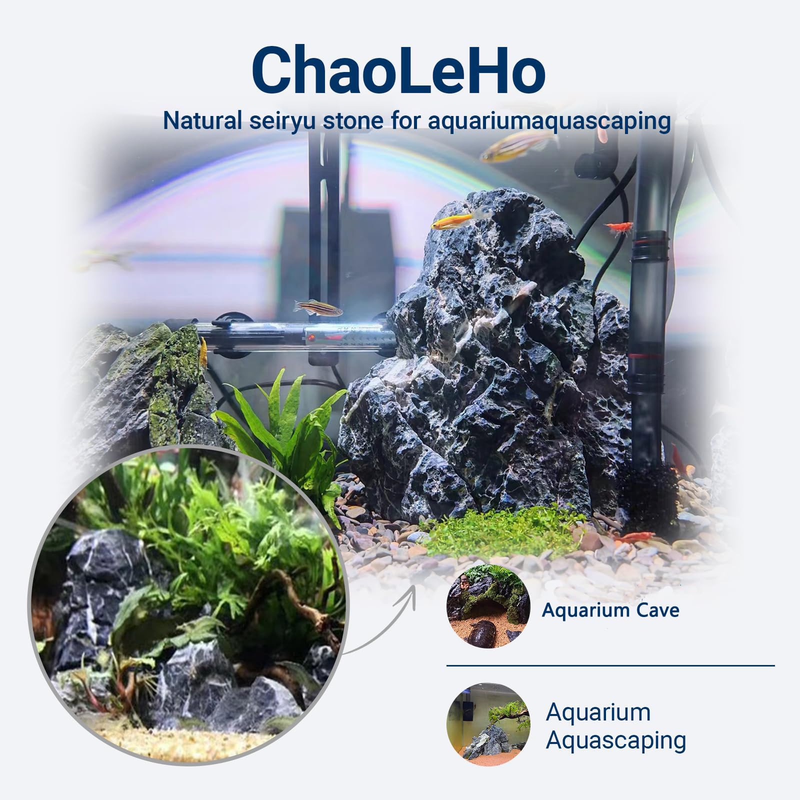 ChaoLeHo Seiryu stone natural pattern showcases unique visual interest for tanks