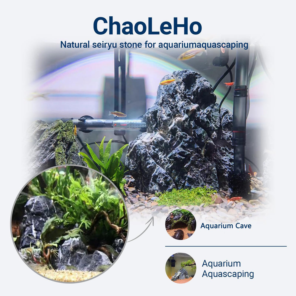 ChaoLeHo Seiryu stone natural pattern showcases unique visual interest for tanks