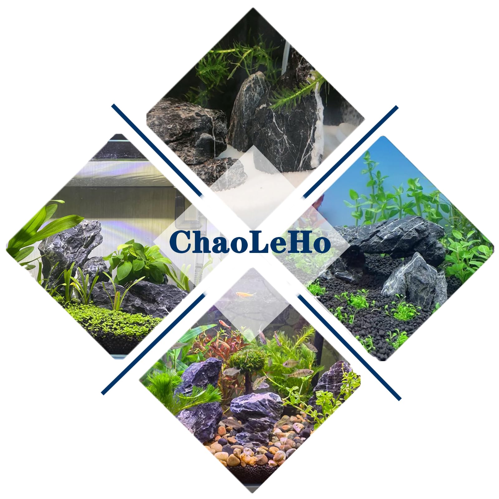 ChaoLeHo Seiryu stones work for indoor and outdoor garden accents.