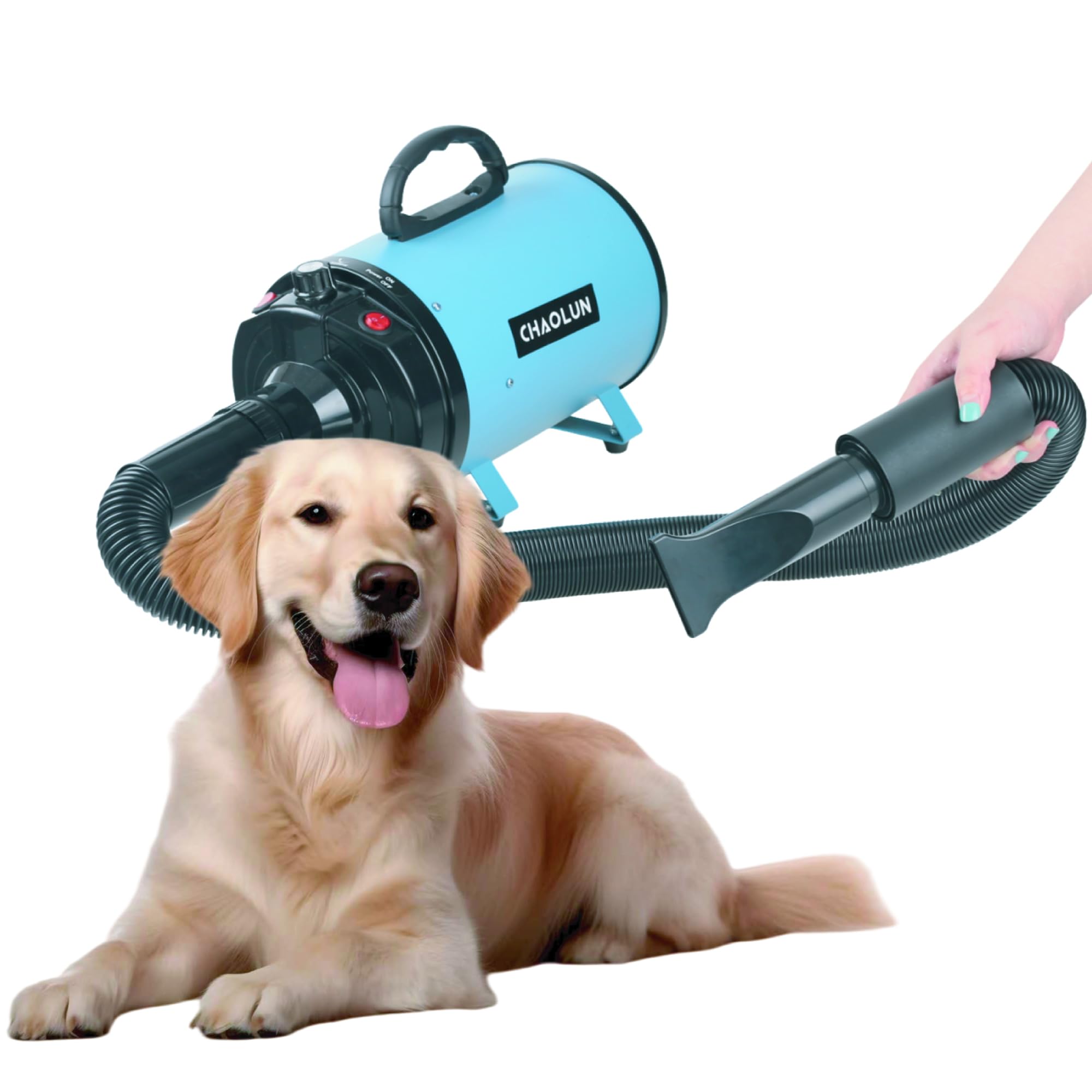 CHAOLUN Dog Dryer includes three nozzles and a comb for versatility
