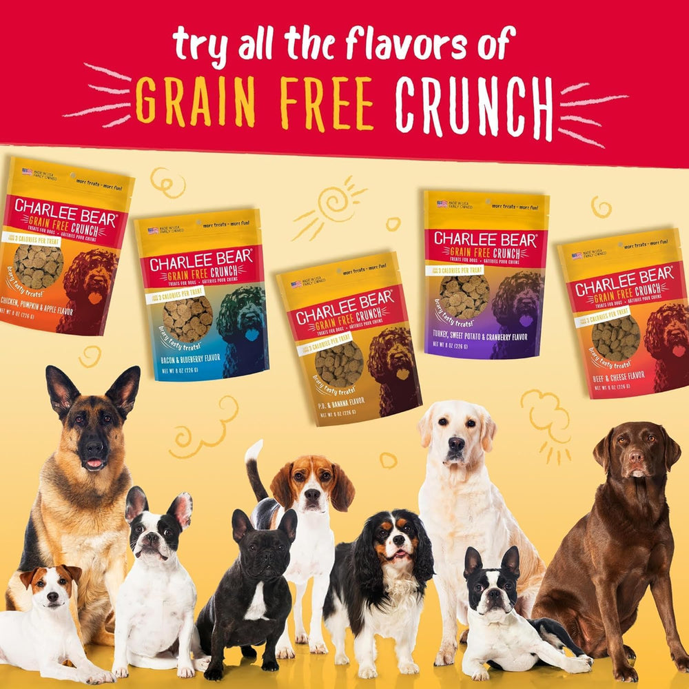 Charlee Bear crunchy texture keeps dogs engaged during enrichment