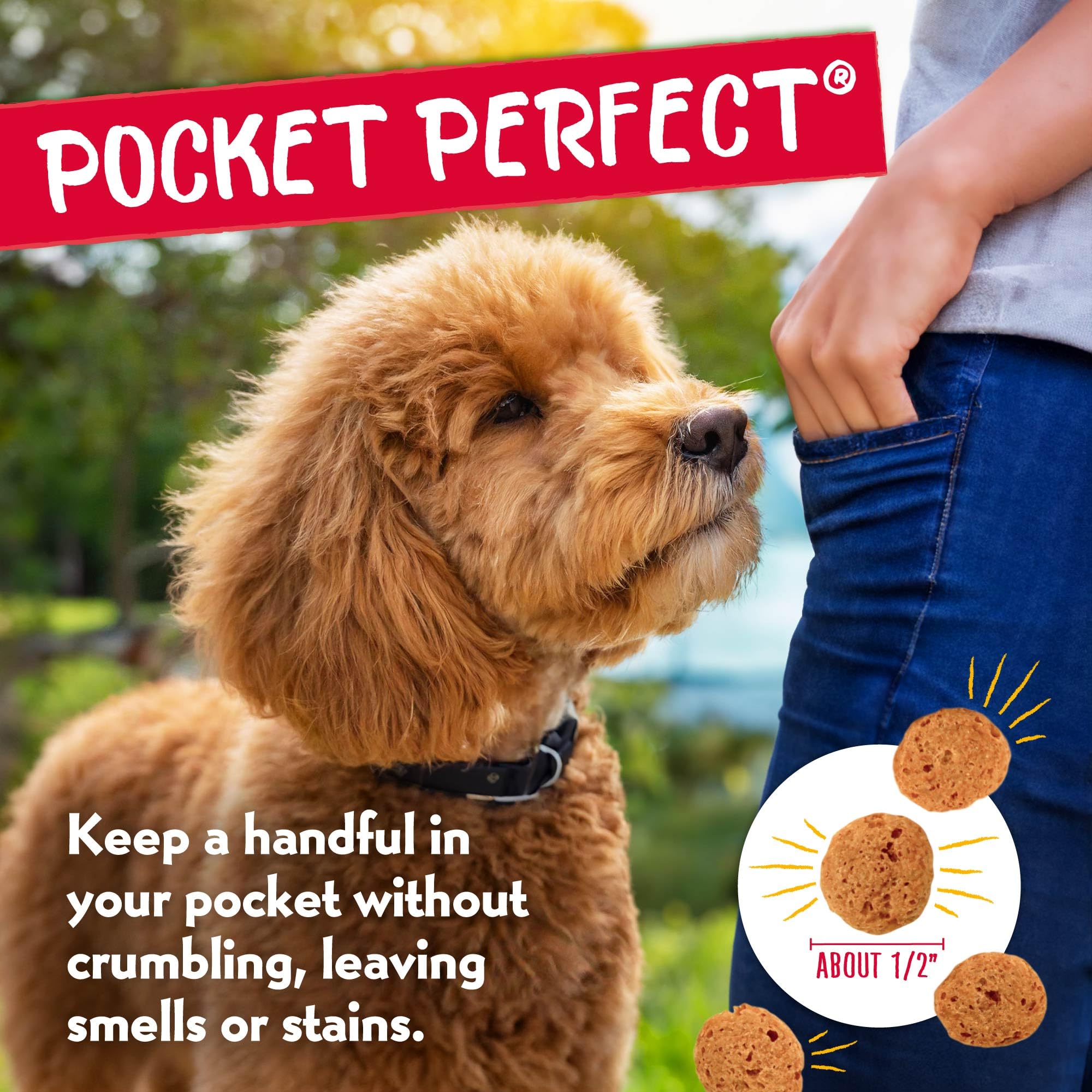 Charlee Bear grain-free natural ingredients for puppy training