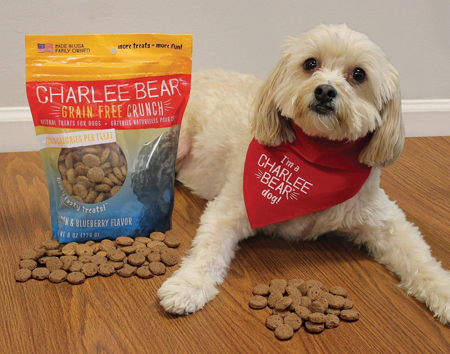 Charlee Bear treats used in an obedience training session outdoors