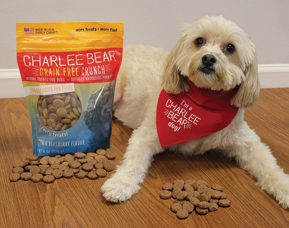 Charlee Bear treats used in an obedience training session outdoors