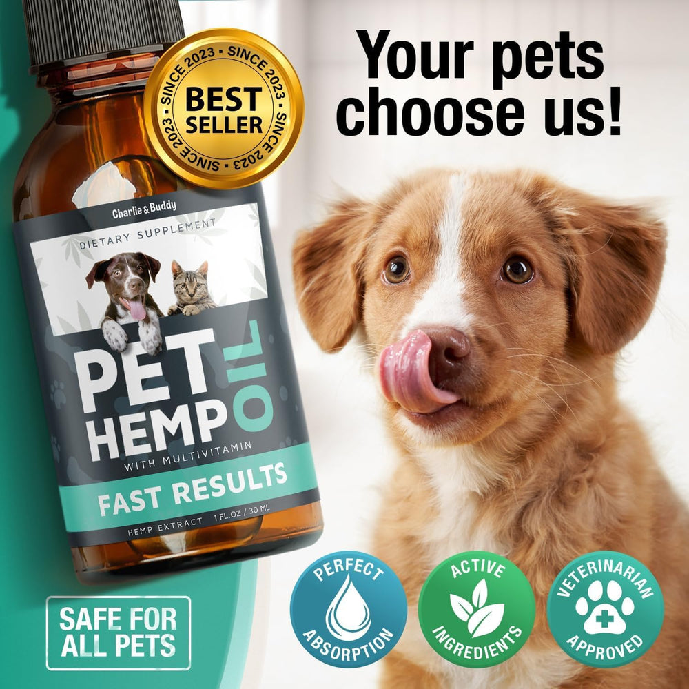 Pet owner uses hemp oil during travel to ease separation anxiety
