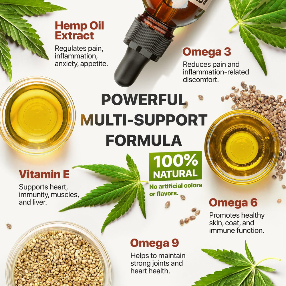 Charlie and Buddy hemp oil dropper dispensing into pet food