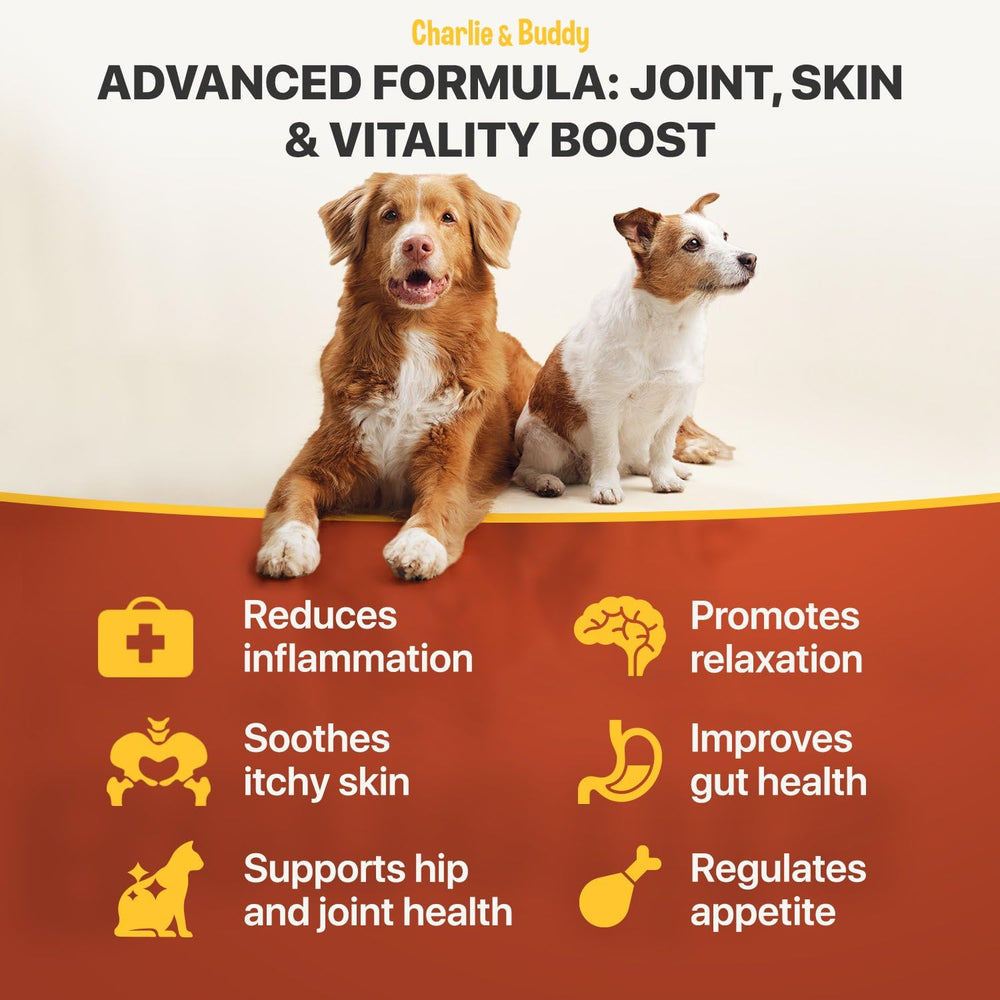 Joint mobility focus for pets using Charlie and Buddy hemp oil