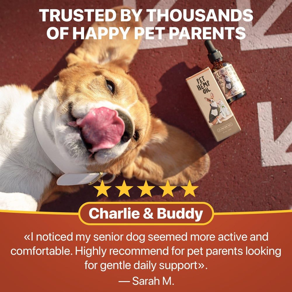 Omega benefits and fatty acids highlighted in Charlie and Buddy oil