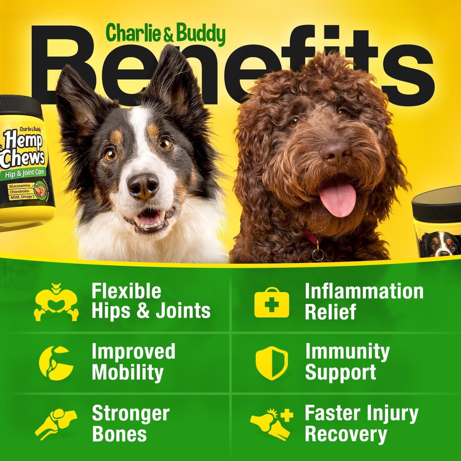 CHARLIE & BUDDY MSM and chondroitin chews with turmeric and omega-3 closeup.