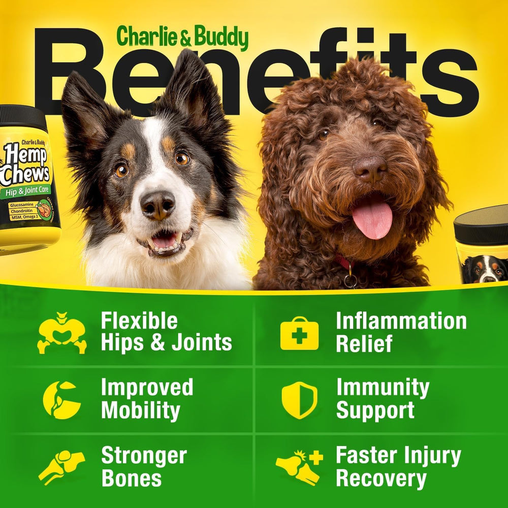 CHARLIE & BUDDY MSM and chondroitin chews with turmeric and omega-3 closeup.