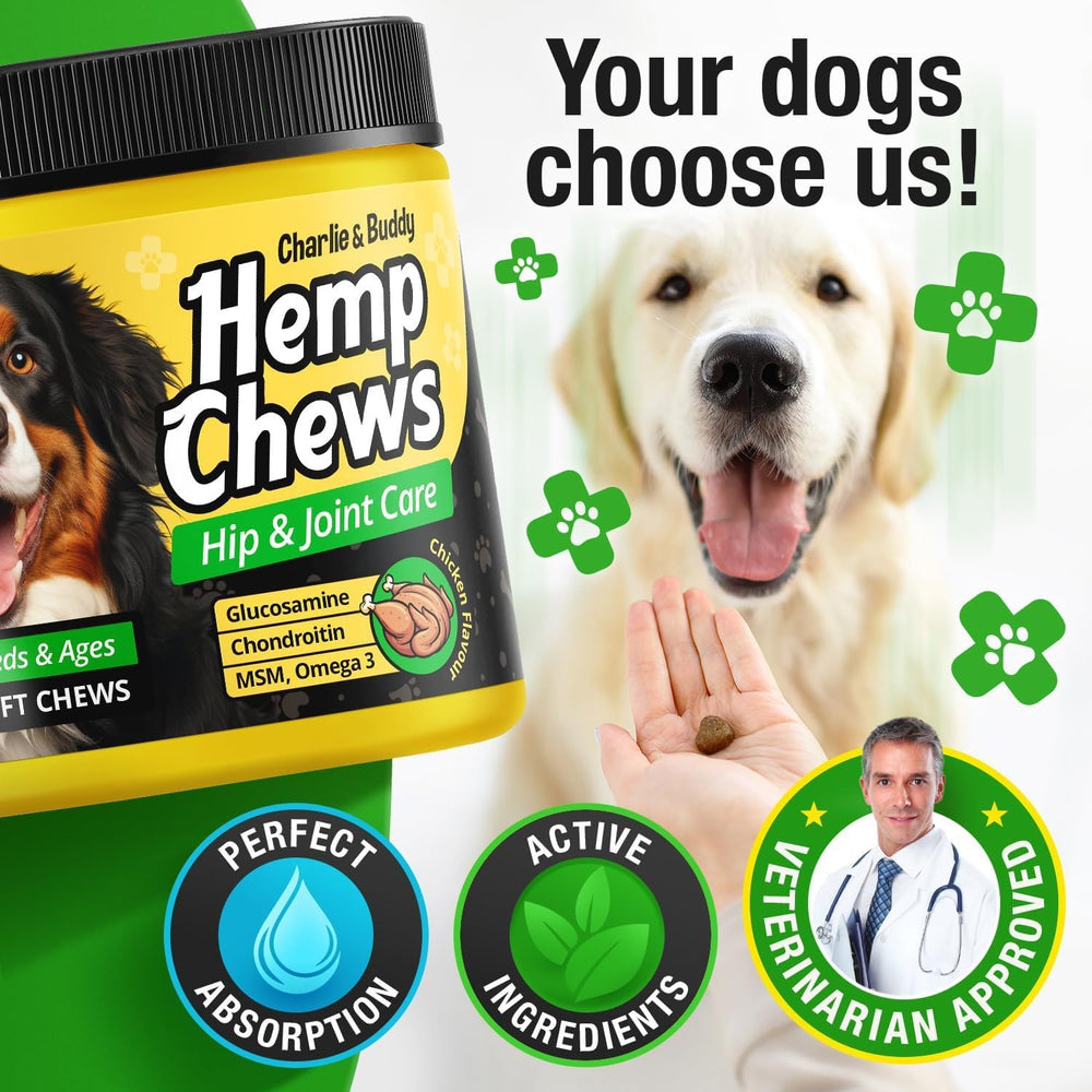 CHARLIE & BUDDY senior large-breed formula treats in packaging for routine care.