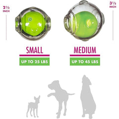 Chase 'n Chomp squeaker ball 3.5 inches in green for interactive chew
