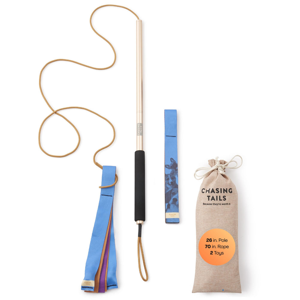 Chasing Tails Flirt Pole 26-inch sturdy pole for small dogs.