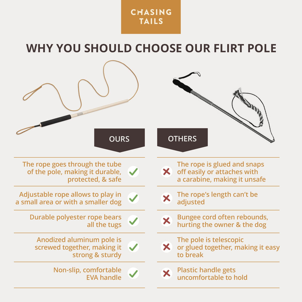 Chasing Tails Flirt Pole with 70-inch adjustable rope in use.