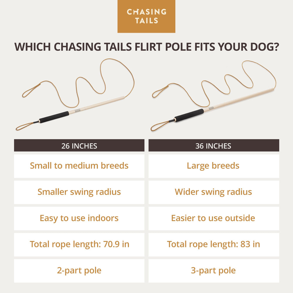 Chasing Tails Flirt Pole ideal for small and medium breeds.