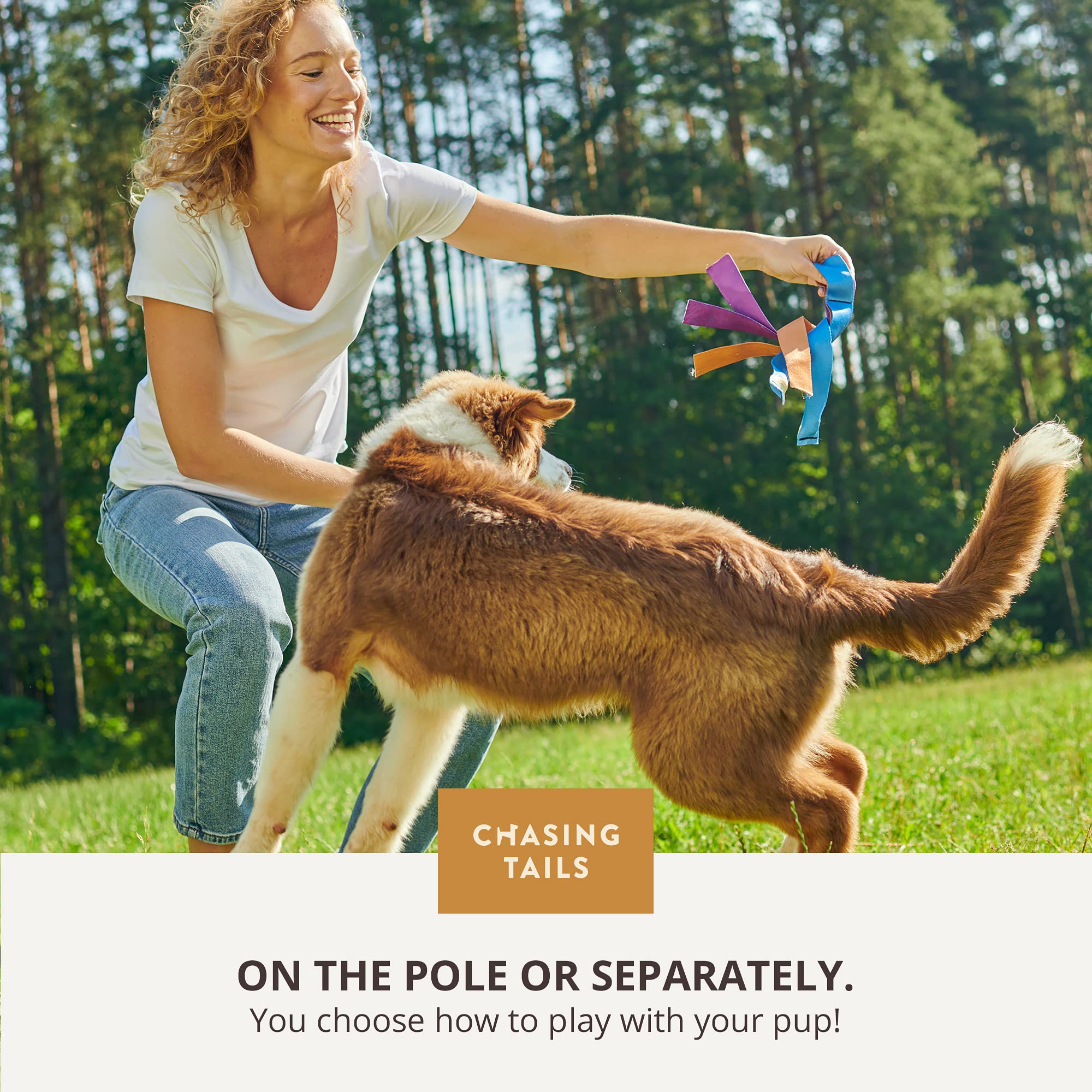 Chasing Tails Flirt Pole training guide included for safe play.