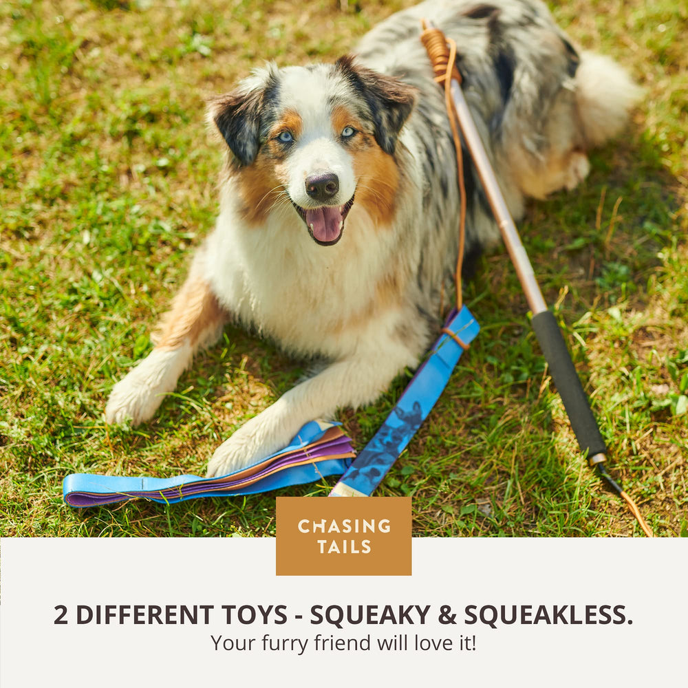 Chasing Tails Flirt Pole includes two toys for varied play.