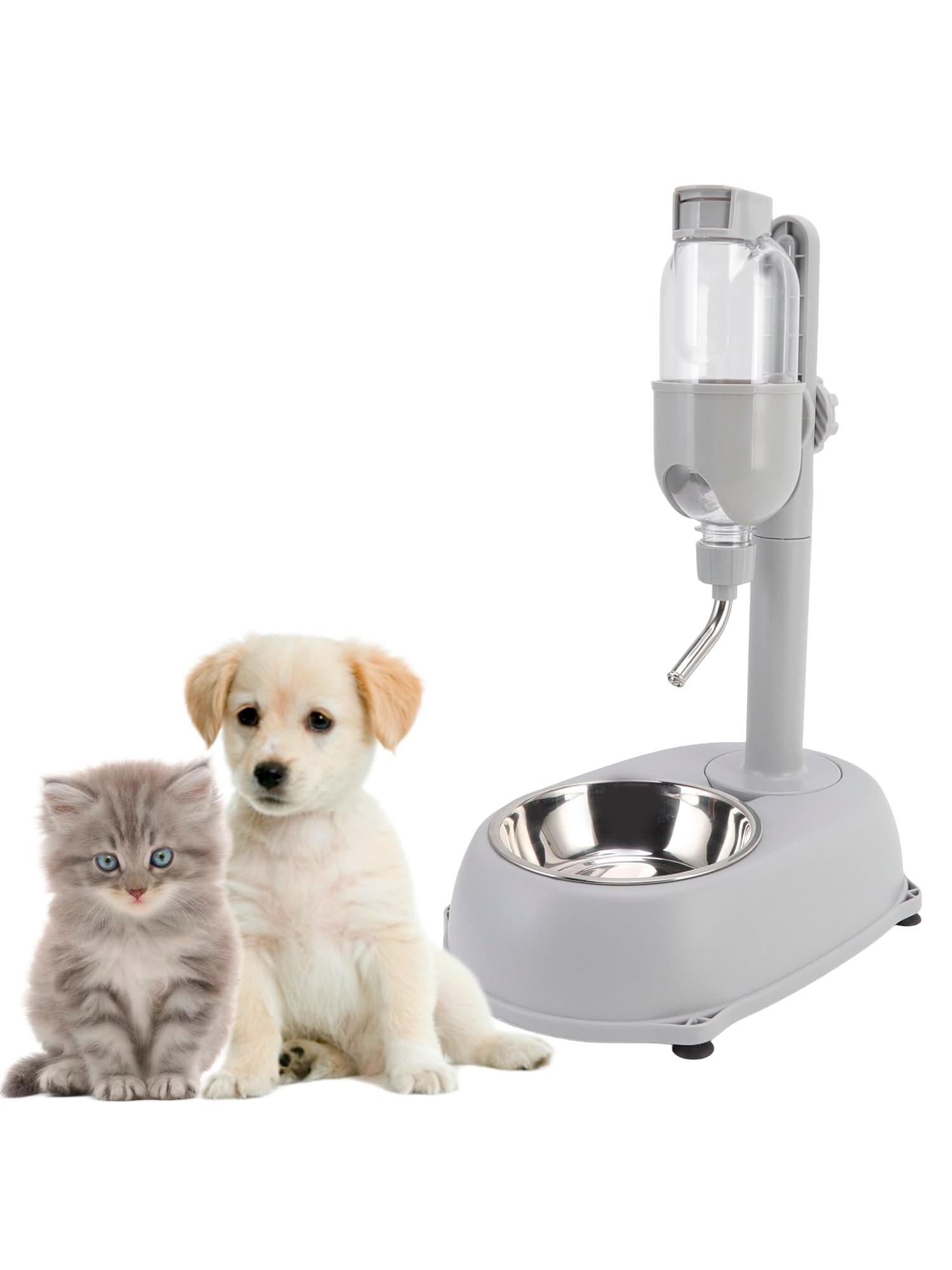 Chazcool bottom food bowl supports snacks between drinks.