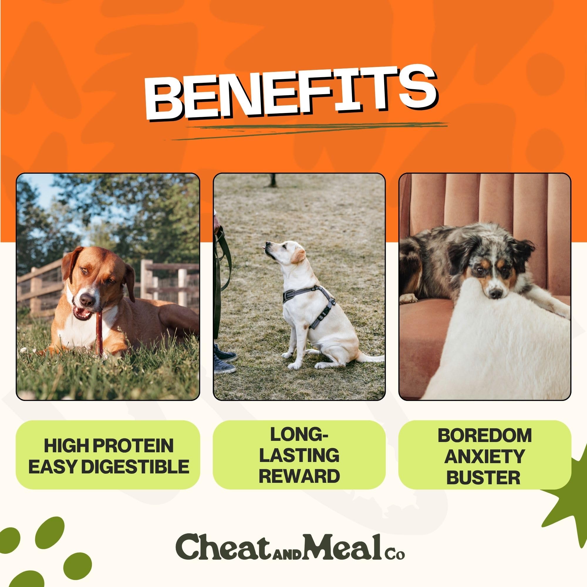 Cheat and Meal Co bully stick close-up shows natural color and thickness.