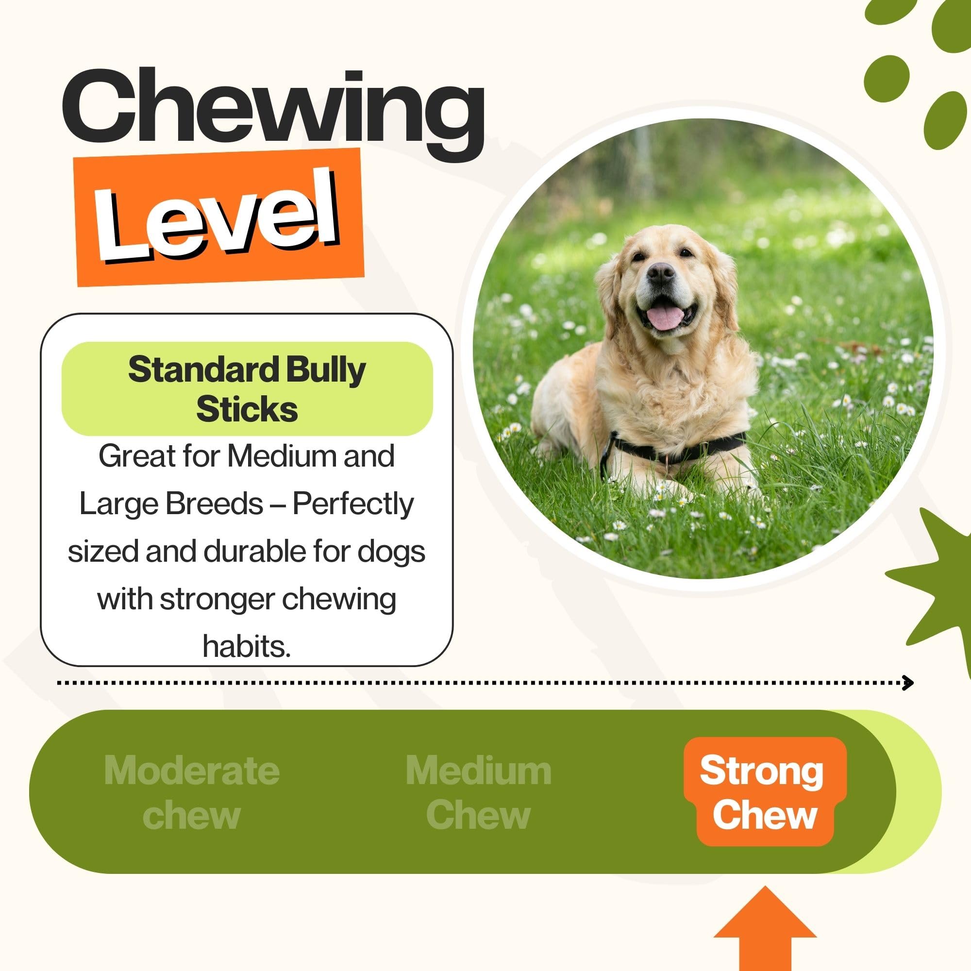 Cheat and Meal Co bully stick free-range beef offers a tasty, digestible chew.