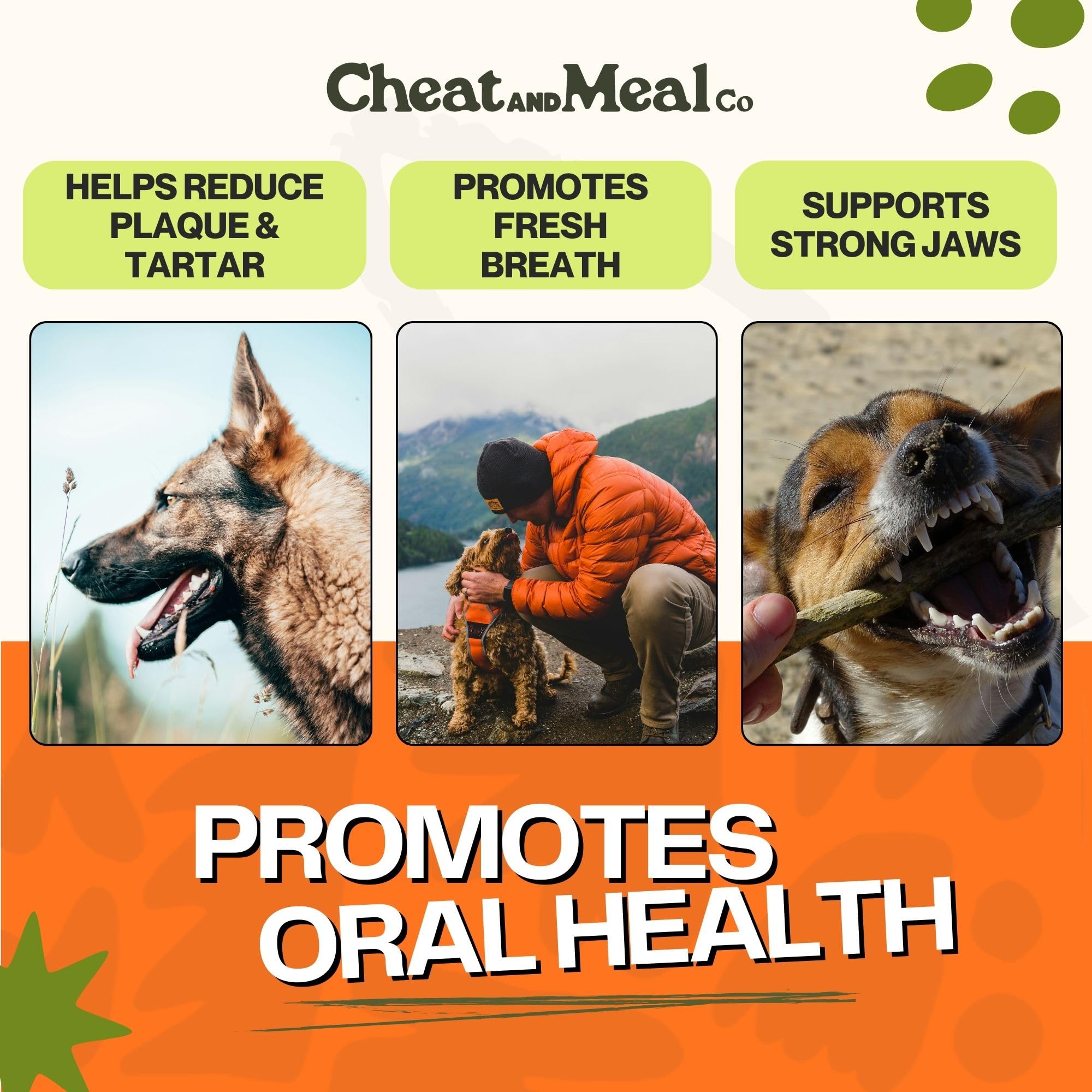 Cheat and Meal Co bully stick grass-fed beef provides premium protein chew.