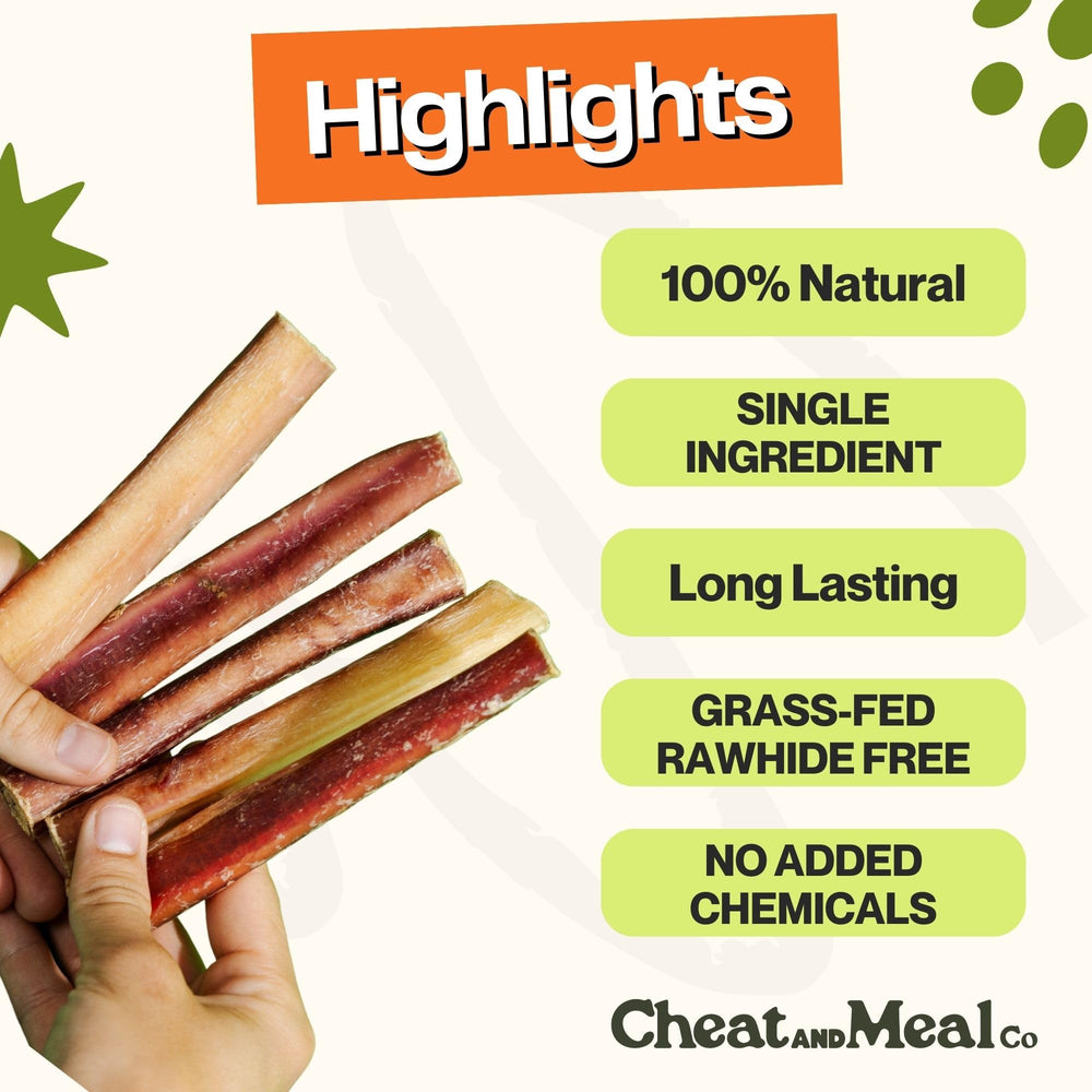 Cheat and Meal Co bully sticks close-up, thick beef chew for aggressive chewers.