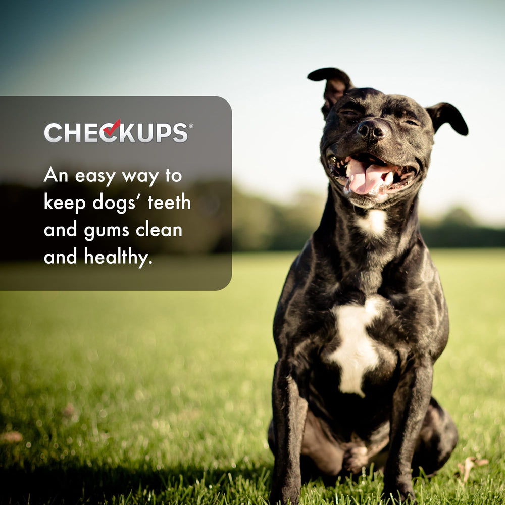 Checkups Dental Dog Treats serving bowl with treats for easy daily care