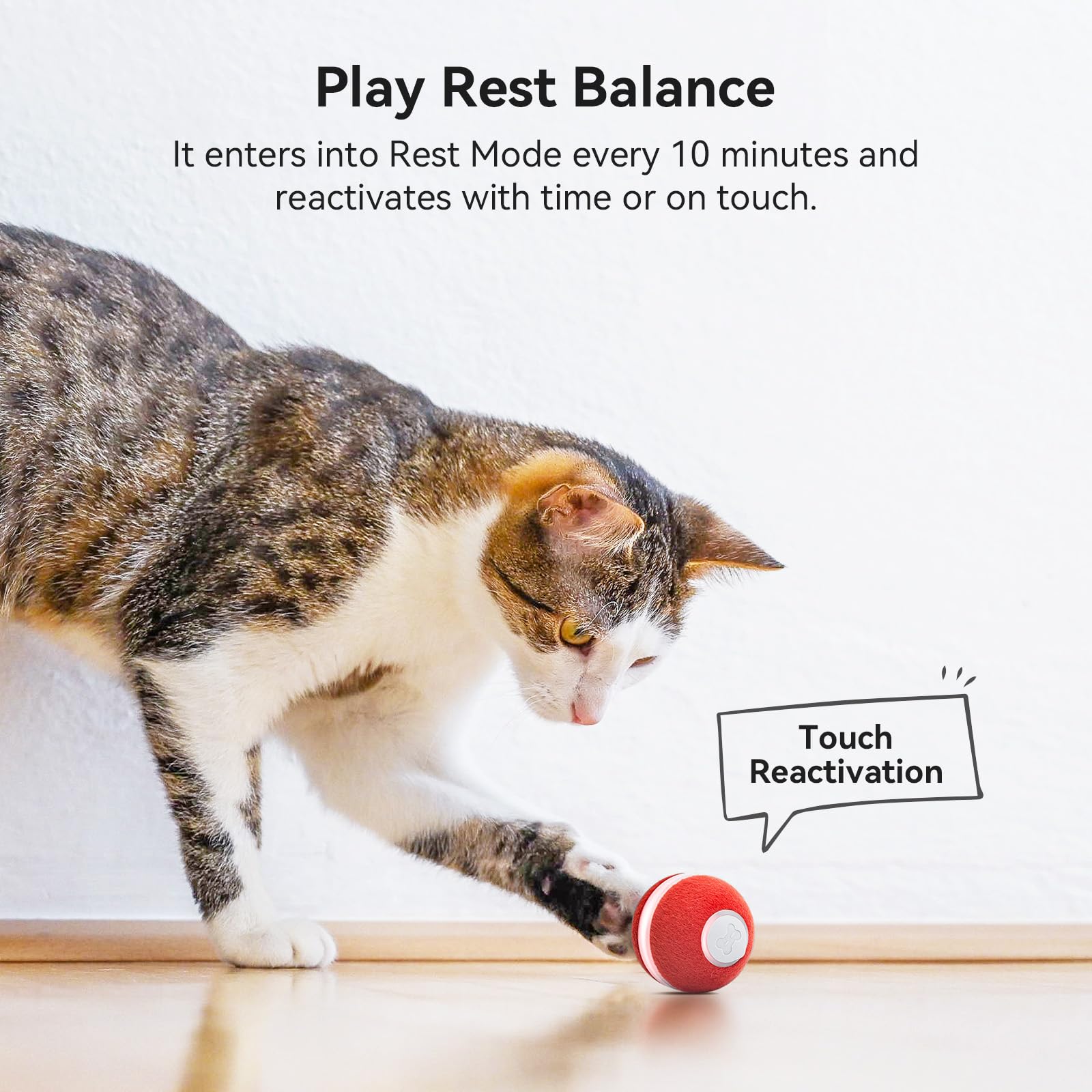Cheerble ball features a soft furry surface for comfortable feline touch during games.