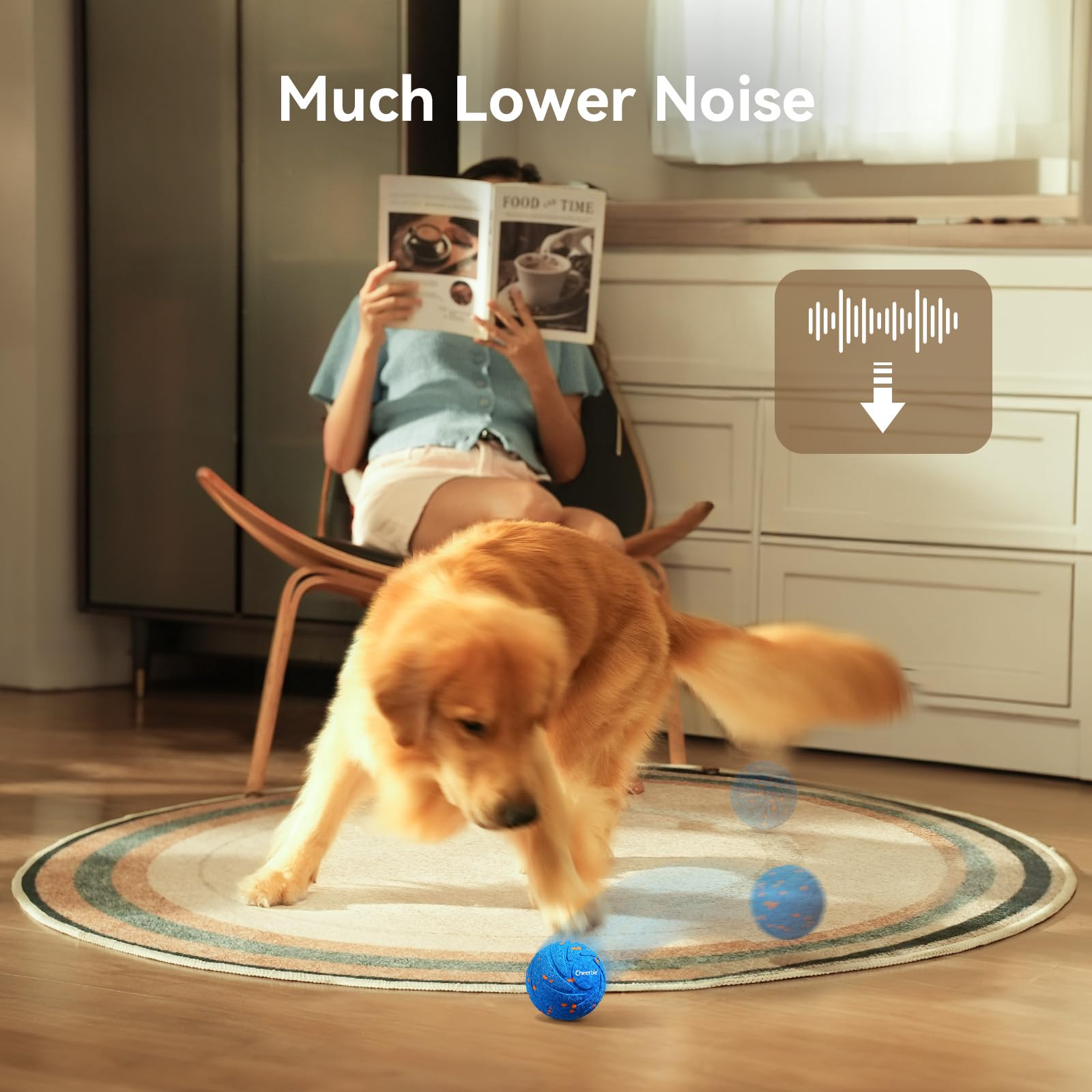 Cheerble Wicked Ball Air dog playing with owner bonding during supervised play