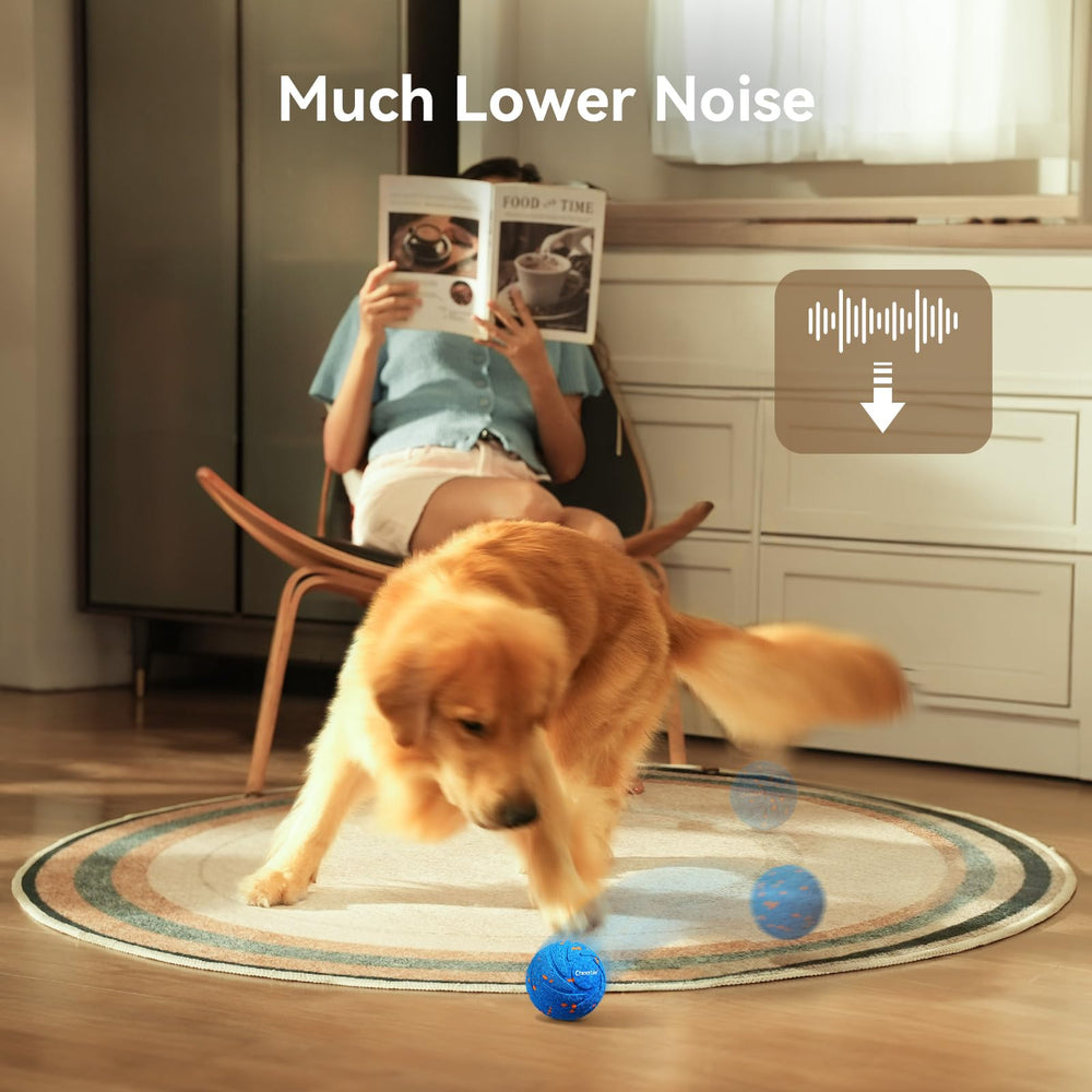Cheerble Wicked Ball Air dog playing with owner bonding during supervised play