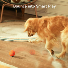 Cheerble Wicked Ball Air rotation and bounce keep dogs engaged during solo play.