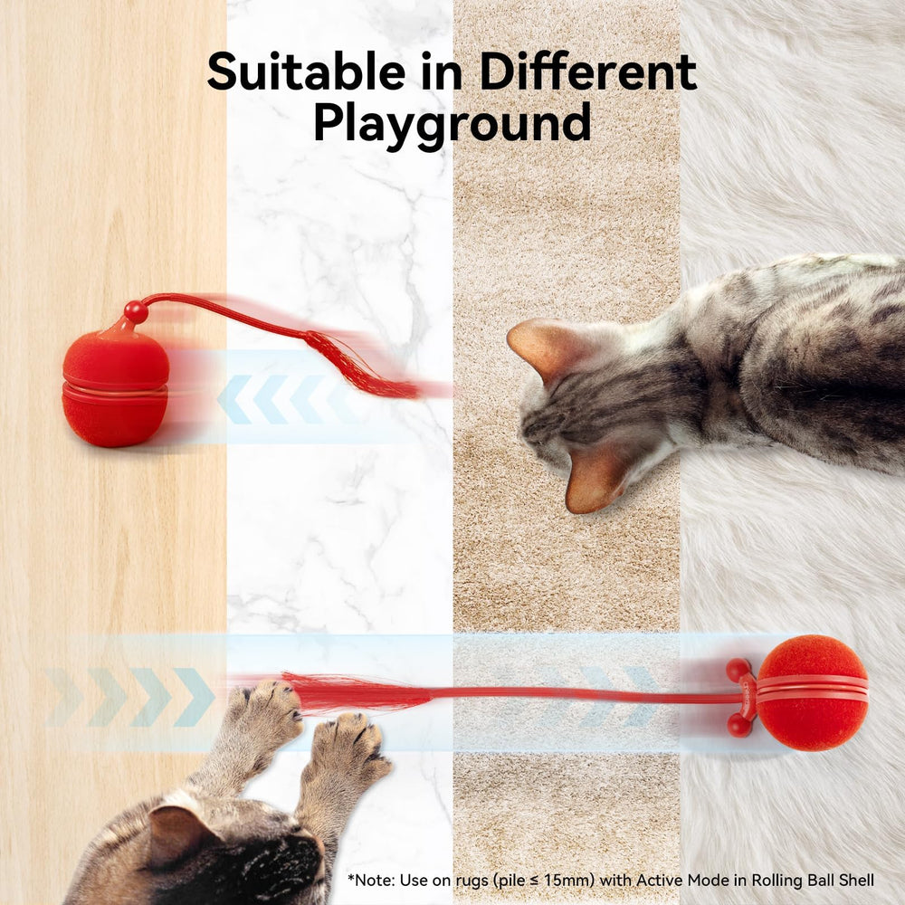 Cheerble Wicked Ball Duo2 charging port highlights rechargeable convenience