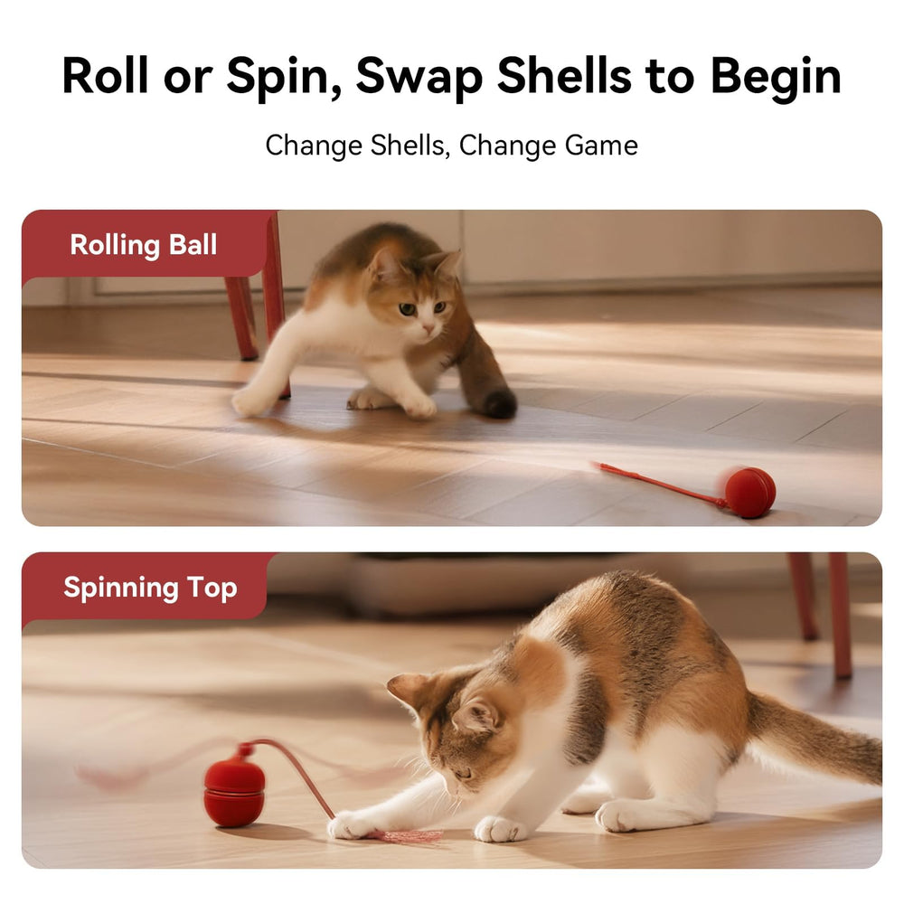 Cheerble Wicked Ball Duo2 indoor play area demonstrates versatile use on wood floors