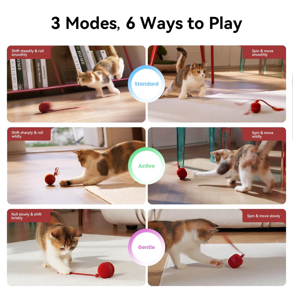Cheerble Wicked Ball Duo2 rolling action demonstrates unpredictable motion that invites chasing