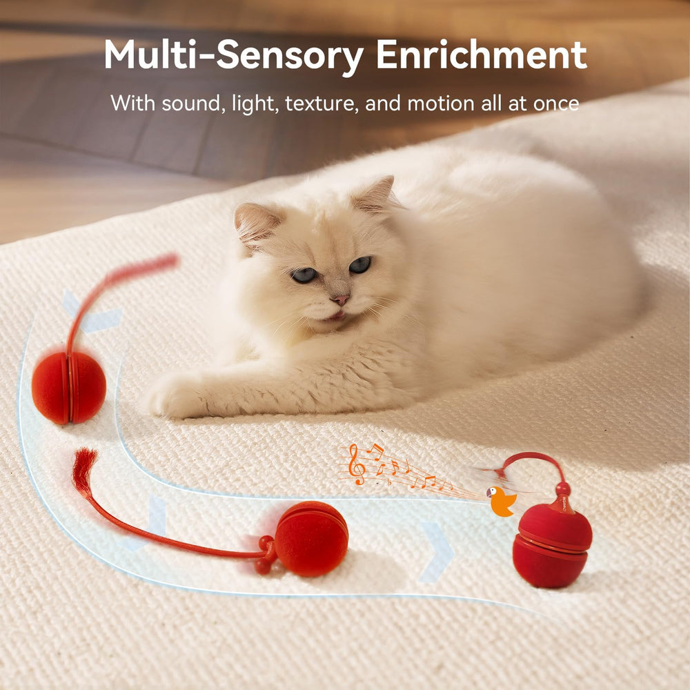 Cheerble Wicked Ball Duo2 tail-twitch motion mirrors prey behavior for engaging hunts