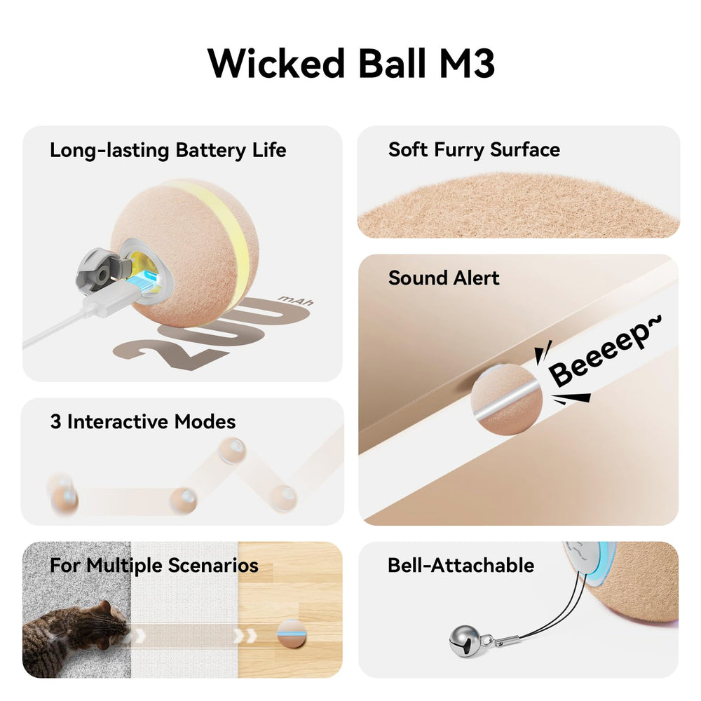 Cheerble Wicked Ball M3 on low-pile carpet for safe, interactive sessions