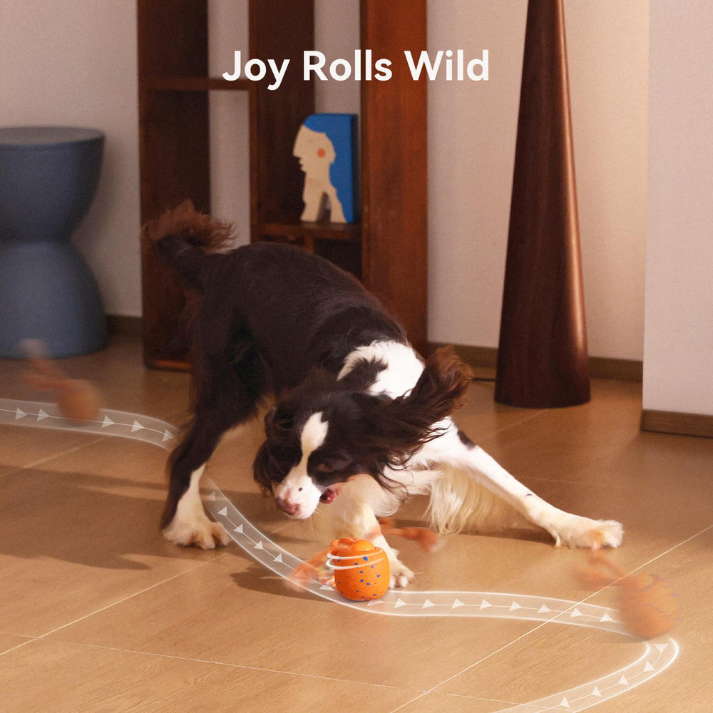 Cheerble Wicked Ball Rolly in action with a dog enjoying indoor play