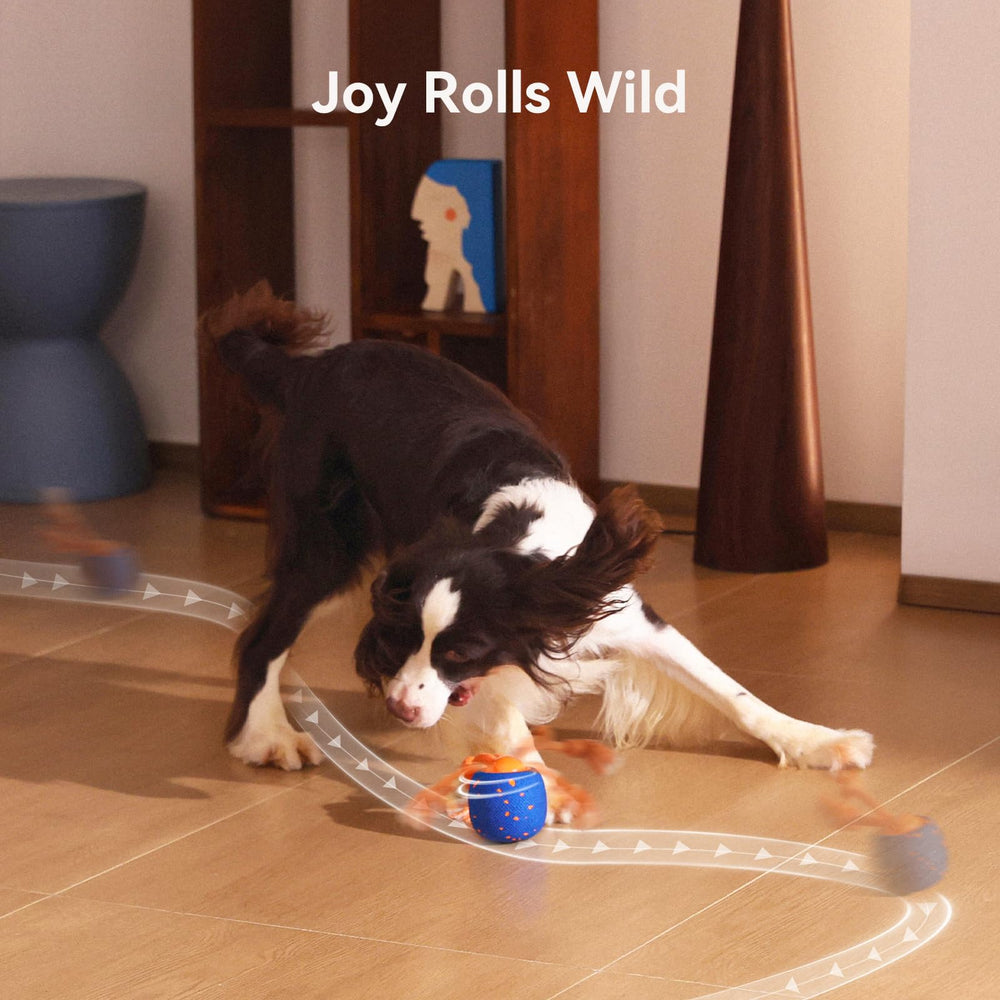 Cheerble Wicked Ball Rolly smart play-rest cycle maintaining balanced activity
