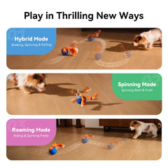 Cheerble Wicked Ball Rolly rope attachment showcasing durable grip for chasing