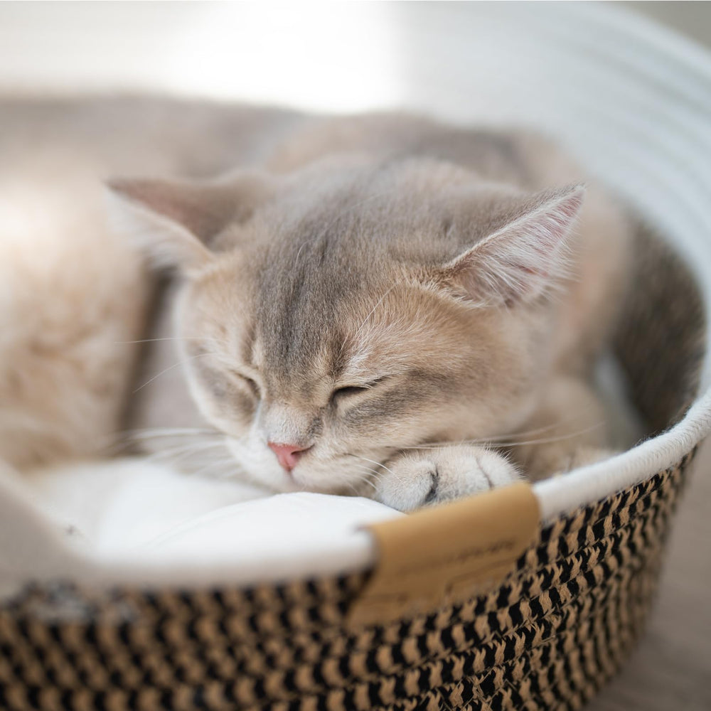 CHEERHOME PETS cat bed basket, all-season comfort and versatility.